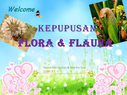 Fauna indonesia wilayah indonesia memiliki kekayaan fauna yang terletak di daerah tropis, sehingga mempunyai hutan hujan tropis (trophical rain forest) yang kaya akan tumbuhan dan hewan hutan tropis. Kepupusan Flora Flauna Ppt Download