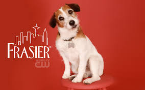 There are many famous annies in cultural history: History S Famous Dogs Ark Animal Centre