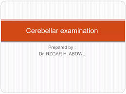 Image result for Cerebellar Function Test
