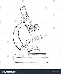 Pin On Under The Microscope