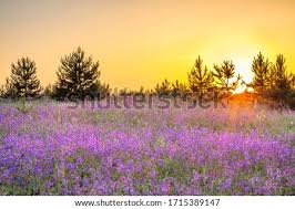 Shutterstock Puzzlepix