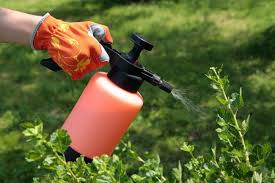 Hygienic, biological, chemical, physical, fumigation, fogging and. Natural Pest Control Safe Non Toxic Methods