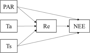 Model second order confirmatory factor analysis model persamaannya dapat ditulis sebagai berikut 3 : Applications Of Structural Equation Modeling Sem In Ecological Studies An Updated Review Ecological Processes Full Text