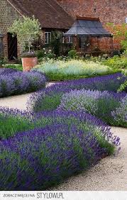 Stylowi Pl Odkrywaj Kolekcjonuj Inspiruj Beautiful Gardens Cottage Garden Outdoor Gardens