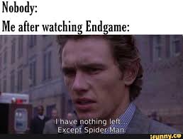 Nobody Me After Watchinl End Ame I Have Nothing Left Except Spider Man Ifunny Marvel Funny Marvel Funny Memes