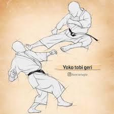 The description on its description page there is shown below. 140 Karate Ideas Karate Shotokan Karate Shotokan