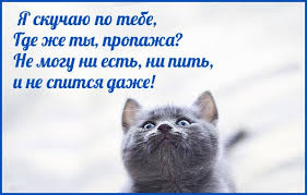 Ya Skuchayu Po Tebe Veselye Kartinki Smeshnoj Yumor Ya Skuchayu Po Tebe