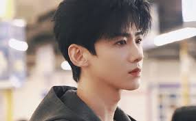 Bạch Kính Đình từng nghĩ không đủ đẹp để đóng Khó dỗ dành