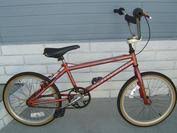 1995 Schwinn Predator 2024