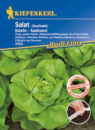 Saatband, saatscheiben, pillensaat » saatband blumen, saatband gemüse & kräuter jetzt saatbänder kaufen auf rechnung. Kopfsalat Estelle Saatband Kopfsalatsamen Von Kiepenkerl Samenhaus Samen Samereien
