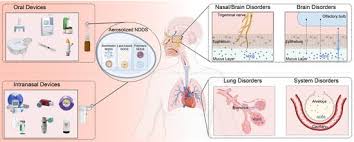 Image result for Intranasal Ciclesonide