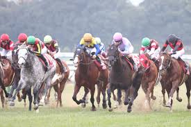 阪神 カップ コメント