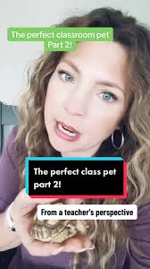 This is the perfect class pet because a tortoise is so low maintenance!  #classpetideas #teachersoftiktok #teacherstyle #teacheridea #tortoise  #tortoises #tortoisesoftiktok #teachershelpingteachers ...