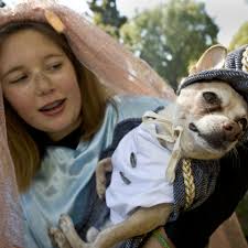 San Juan puts kids, pets