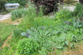 In the middle ages, monasteries developed elaborate kitchen gardens. Vegetable Garden Layout Rows Square Foot Or Wild