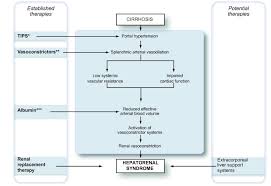 Cirrhosis is a chronic liver disease often associated with alcoholism. Renal And Circulatory Dysfunction In Cirrhosis Current Management And Future Perspectives Journal Of Hepatology