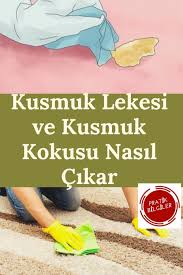 Kusmuk Lekesi Nasil Cikar Kusmuk Lekesi Cikarma Yontemleri Hayvan Evcil Hayvanlar Kedi