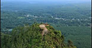 Tebing batu napponol salah satu wisata menarik di labura, terletak di desa kuala beringin kamu bisa menempuh waktu sekitar 3 jam ke. Tebing Batu Napponol Tebing Batu Napponol Tempat Asik Begini Cara Membuat Relief Tebing Batu Dengan Teknik Lempar Palpel Shaniea7 Images