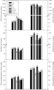 Check spelling or type a new query. Interactive Effect Of Silicon Si And Salicylic Acid Sa In Maize Seedlings And Their Mechanisms Of Cadmium Cd Toxicity Alleviation Springerlink