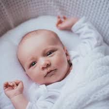 Kate Sheffield Photography