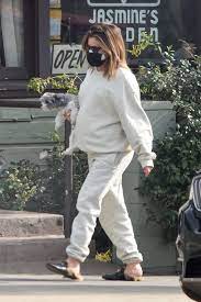 The latest tweets from ashley tisdale (@ashleytisdale). Pregnant Ashley Tisdale Out With Her Dog In Los Angeles 01 07 2021 Hawtcelebs