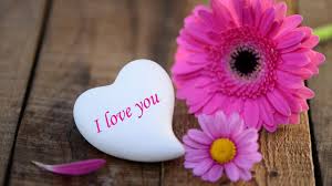 Find over 100+ of the best free flower love images. Hd Wallpapers Of Love Data Src Love Flower Wallpaper Love Flower Image Hd 2560x1440 Wallpaper Teahub Io