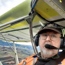 How to deal with a wasp problem at home?