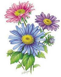 Flower Of The Month September Asters Select A Size Ceramic Waterslide Decals Bx Birth Flower Tattoos Aster Flower Tattoos Beautiful Flower Tattoos