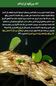 Desertrose الإعجاز العلمي في القرآن الكريم والسنة النبوية الشريفة Quran Miracles Of Quran Muslim Book