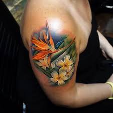 Bird Of Paradise Flower Tattoo Meaning Andres Acosta Bird Of Paradise Plumeria Tattoo Paradise Tattoo Hawaiian Tattoo Pineapple Tattoo