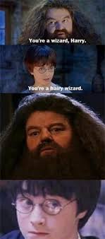 The best part of all of this? 125 Of The Best Harry Potter Memes Paste