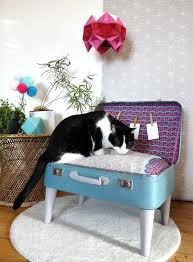 Diy Un Panier Pour Toutou Et Matou Bricolage Pour Chat Panier Chat Tipi Pour Chat