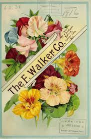 Menu & reservations make reservations. Heaveninawildflower Vintage Seed Packets Flower Art Seed Art