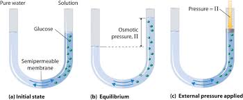 Water diffusion is called osmosis. Solutions