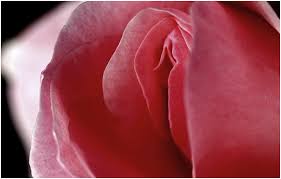 An intimate is someone who you trust with private details. 5 Basic Rules For Intimate Area Hygiene By Physio Vibrations Medium