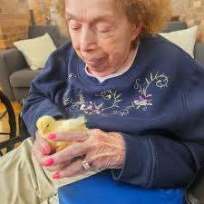 Staff member Hanna spoiled us with a baby chick visit!