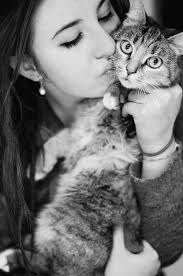 Cat Vs Cat Keeping Peace When You Have More Than One Cat By Pam Johnson Bennett 0142004758 9780142004753 In 2021 Hug Your Cat Day Cat Photography Cats