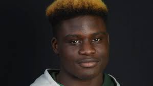 Football Honor Roll: Lewinson's 7 TDs take spotlight