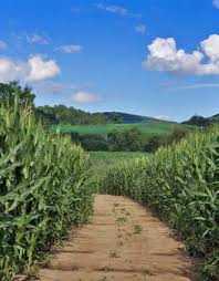 Washington County Agricultural and Farmland Protection Plan