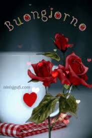 Auch hier lohnt ein besuch, um das passende gif zu finden. Good Morning Red Rose Gifs Tenor Guten Morgen