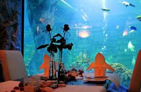 Essen Im Unterwasser Informationen Restaurant Unterwasser Restaurant Dinner Wasser