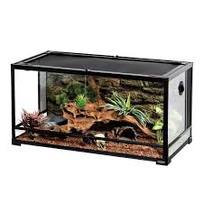 Reptizoo 50 Gallon Terrarium Wayfair Terrarium Reptile Terrarium Large Glass Terrarium