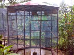 Outdoor Bird Aviary For Sale Nz Outdoor Heated Bird Aviary Bird Aviary Bird Houses Bird House Kits