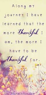 50 Gratitude Memes To Share When You Re Feeling Thankful Gratitude Quotes Thankful Quotes Thanksgiving Quotes