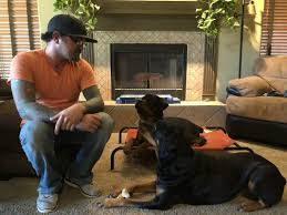 Maybe you would like to learn more about one of these? Empowered K9 Training Dog Training Phoenix Az Board And Train Puppy Training Obedience Aggression