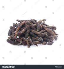 Image result for Xylopia aethiopica