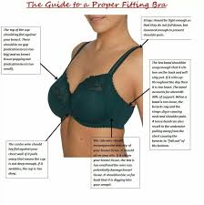 Proper Bra Fit Proper Bra Fitting Bra Fitting Bra Beauty