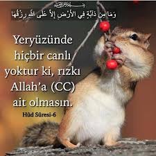 Maddi Manevi Her Turlusune Elhamdulillah Pozitif Dusunceler Inanc Ozlu Sozler