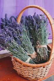 Hyacinthus)، ويقال له أيضا نبات خيري البر، ونبات ضيق الأوراق، وله أسماء أخرى منها: Ø³Ù„Ø© Ø£Ø²Ù‡Ø§Ø± Ø¬Ù…ÙŠÙ„Ø© Ø³Ø±ÙŠØ± Ø§Ù„Ø²Ù‡ÙˆØ± Ø³Ù„Ø© ÙˆØ±Ø¯ Ø²Ù‡ÙˆØ± Ø®Ø²Ø§Ù…Ù‰ Ø£Ø±Ø¬ÙˆØ§Ù†ÙŠ Ø²Ù‡ÙˆØ± Ø£Ø±Ø¬ÙˆØ§Ù†ÙŠØ© Pikist