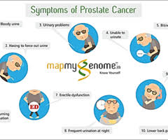 From basic information about cancer and its causes to. L 19 Male Genital Reproductive Disorders Flashcards Quizlet
